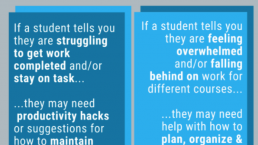 screenshot of newsletter